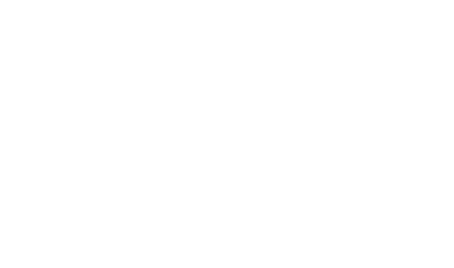 有限会社田川精機